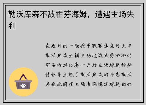 勒沃库森不敌霍芬海姆，遭遇主场失利