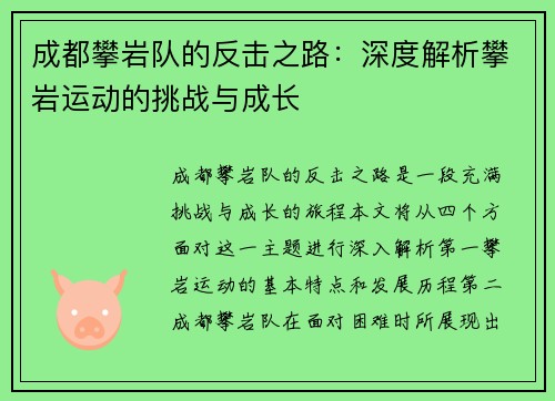 成都攀岩队的反击之路：深度解析攀岩运动的挑战与成长